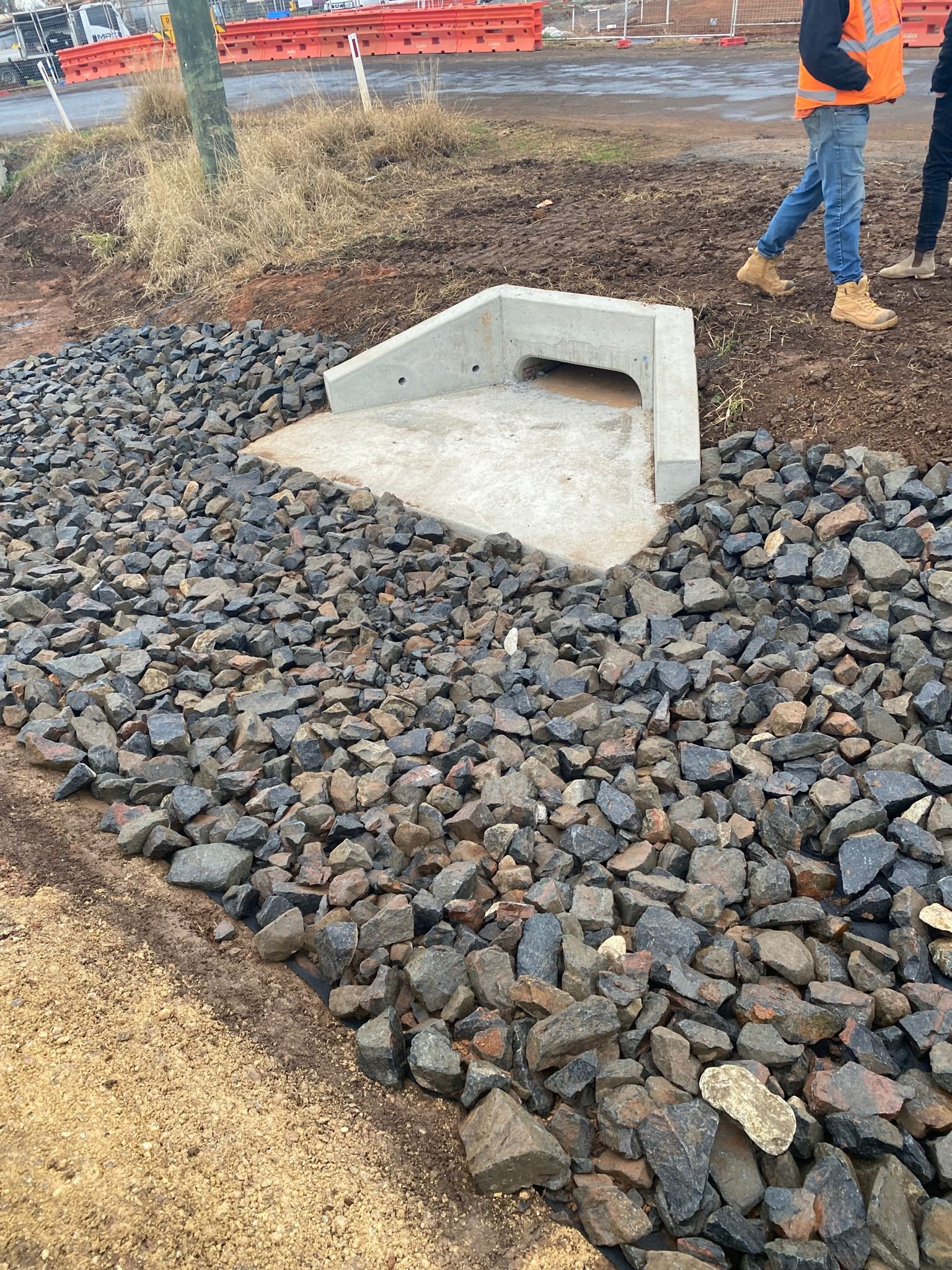 Image_20240309175817