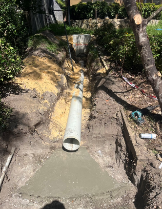 image_2024_03_25T15_55_59_011Z